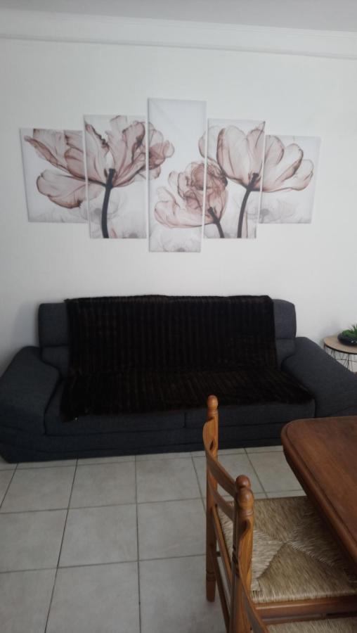 50 M Ocean Maison Classee 2 Etoiles 2/7 Personnes Mimizan-Plage Exteriör bild